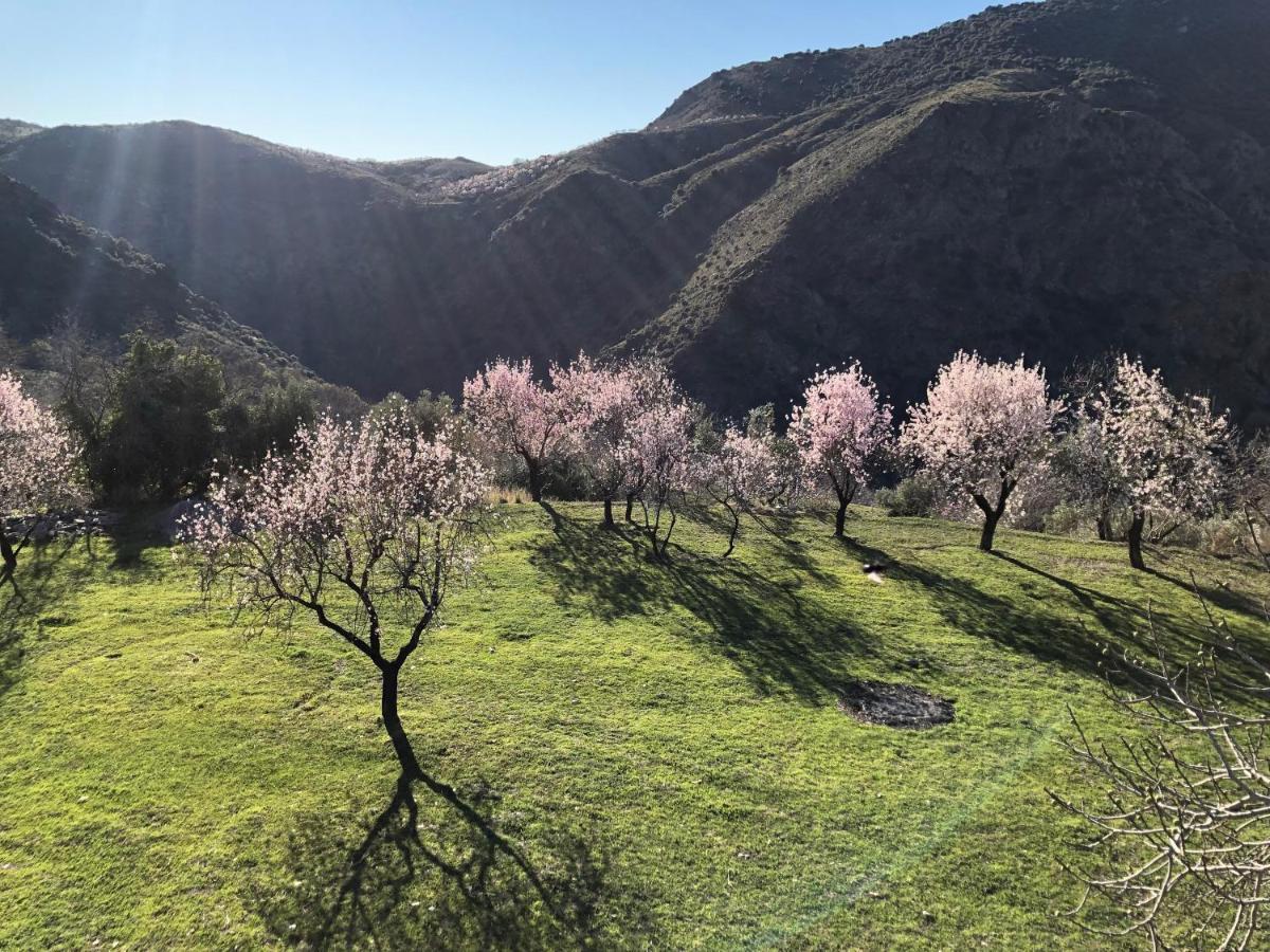 Casa Carmela, Rural House With Spectacular Views, In An Exquisite Area Villa Atalbeitar ภายนอก รูปภาพ