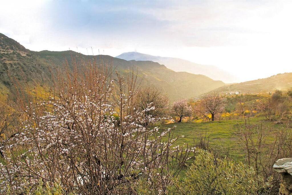 Casa Carmela, Rural House With Spectacular Views, In An Exquisite Area Villa Atalbeitar ภายนอก รูปภาพ