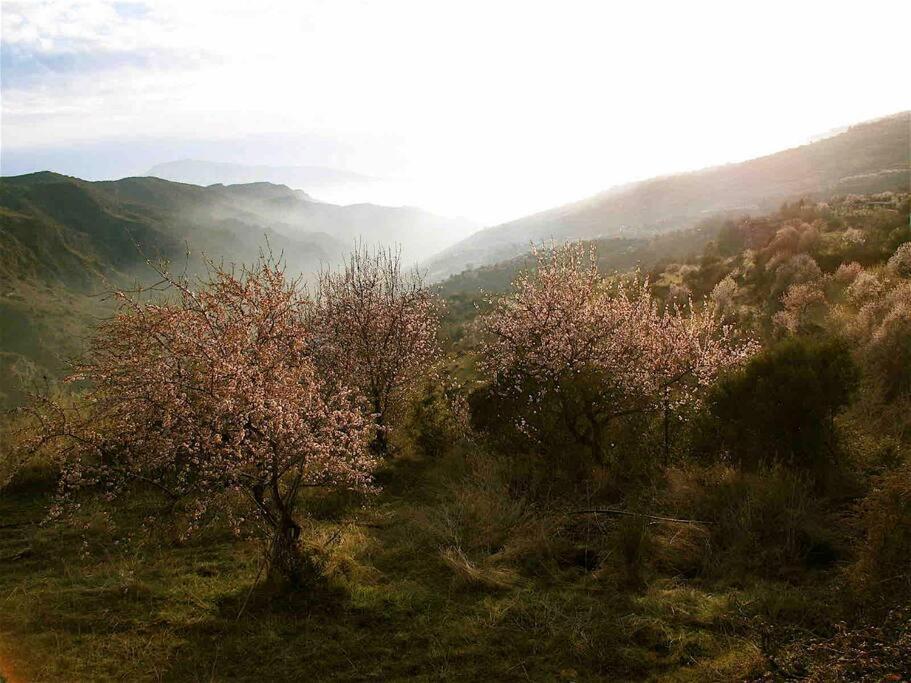 Casa Carmela, Rural House With Spectacular Views, In An Exquisite Area Villa Atalbeitar ภายนอก รูปภาพ
